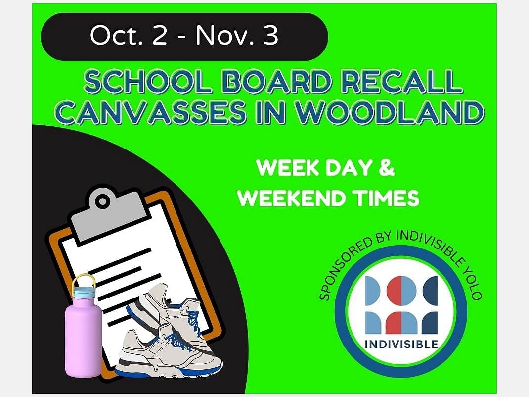 School Board Recall Canvasses action