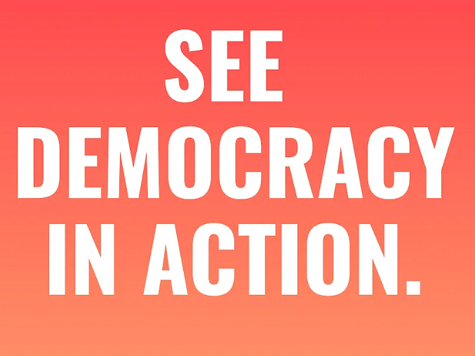 Our Democracy Needs You!  action