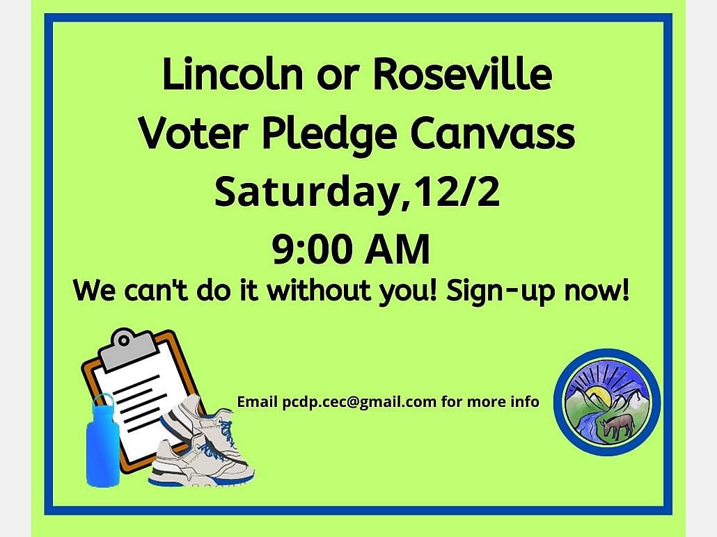 Join our canvassing team! action